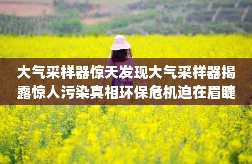 大气采样器惊天发现大气采样器揭露惊人污染真相环保危机迫在眉睫