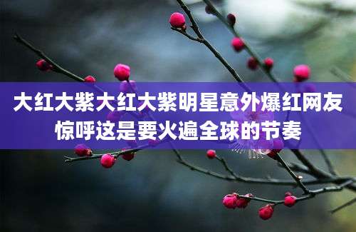 大红大紫大红大紫明星意外爆红网友惊呼这是要火遍全球的节奏