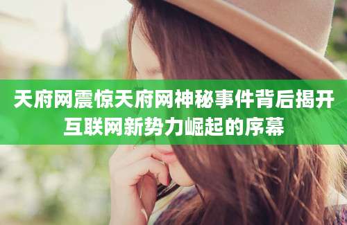 天府网震惊天府网神秘事件背后揭开互联网新势力崛起的序幕