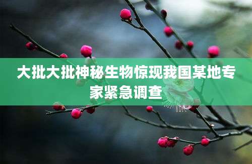 大批大批神秘生物惊现我国某地专家紧急调查