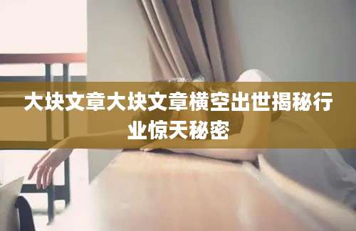 大块文章大块文章横空出世揭秘行业惊天秘密