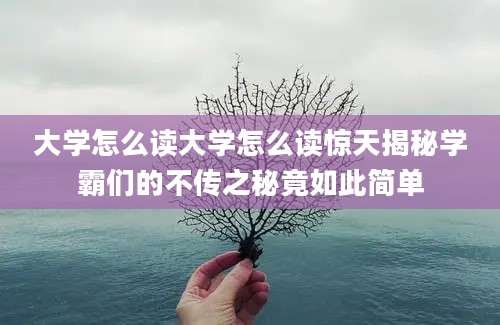 大学怎么读大学怎么读惊天揭秘学霸们的不传之秘竟如此简单