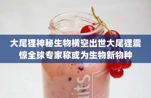 大尾狸神秘生物横空出世大尾狸震惊全球专家称或为生物新物种