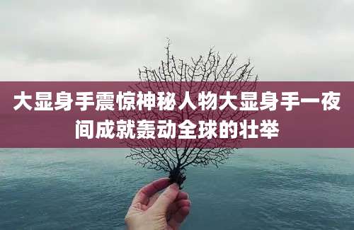 大显身手震惊神秘人物大显身手一夜间成就轰动全球的壮举