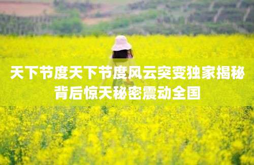 天下节度天下节度风云突变独家揭秘背后惊天秘密震动全国