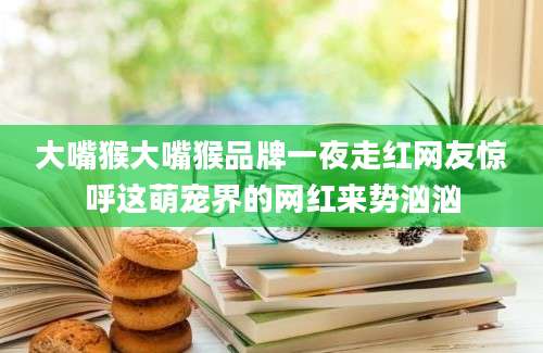 大嘴猴大嘴猴品牌一夜走红网友惊呼这萌宠界的网红来势汹汹