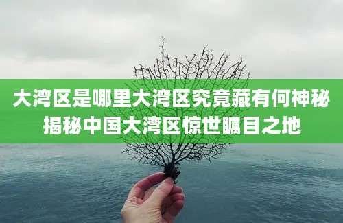 大湾区是哪里大湾区究竟藏有何神秘揭秘中国大湾区惊世瞩目之地