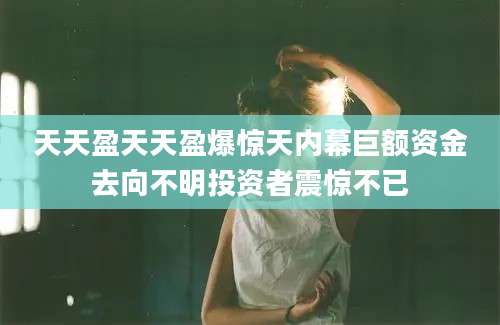 天天盈天天盈爆惊天内幕巨额资金去向不明投资者震惊不已
