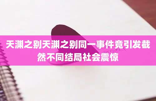 天渊之别天渊之别同一事件竟引发截然不同结局社会震惊