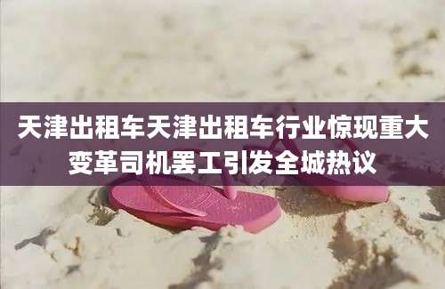 天津出租车天津出租车行业惊现重大变革司机罢工引发全城热议