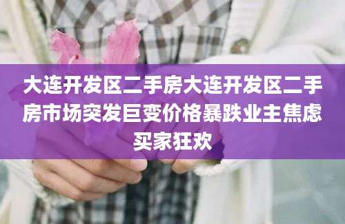 大连开发区二手房大连开发区二手房市场突发巨变价格暴跌业主焦虑买家狂欢