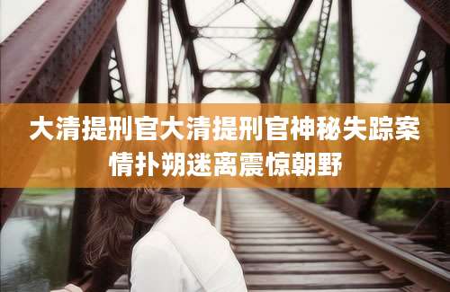 大清提刑官大清提刑官神秘失踪案情扑朔迷离震惊朝野