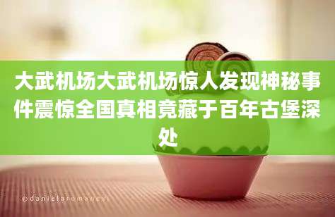 大武机场大武机场惊人发现神秘事件震惊全国真相竟藏于百年古堡深处