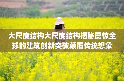 大尺度结构大尺度结构揭秘震惊全球的建筑创新突破颠覆传统想象