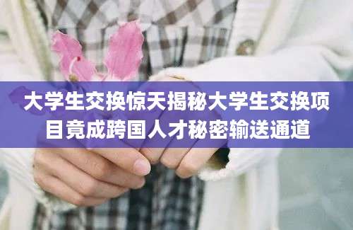 大学生交换惊天揭秘大学生交换项目竟成跨国人才秘密输送通道