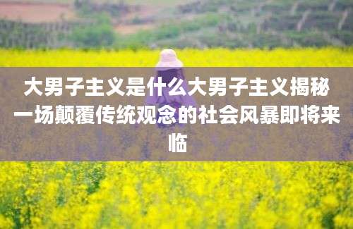 大男子主义是什么大男子主义揭秘一场颠覆传统观念的社会风暴即将来临