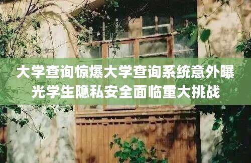 大学查询惊爆大学查询系统意外曝光学生隐私安全面临重大挑战
