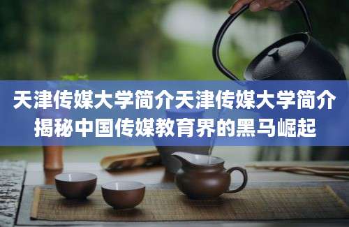 天津传媒大学简介天津传媒大学简介揭秘中国传媒教育界的黑马崛起