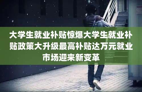 大学生就业补贴惊爆大学生就业补贴政策大升级最高补贴达万元就业市场迎来新变革