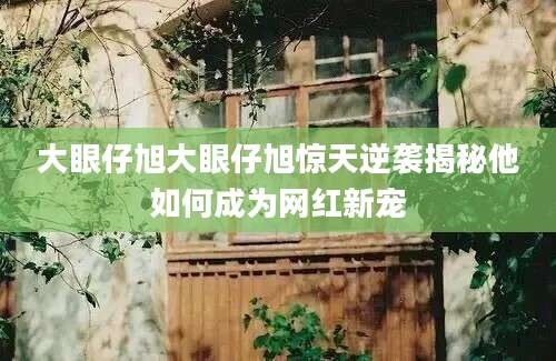 大眼仔旭大眼仔旭惊天逆袭揭秘他如何成为网红新宠