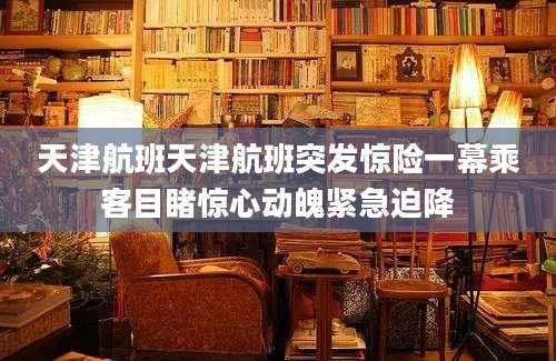 天津航班天津航班突发惊险一幕乘客目睹惊心动魄紧急迫降