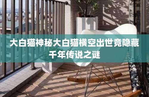 大白猫神秘大白猫横空出世竟隐藏千年传说之谜