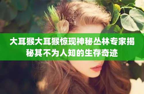 大耳猴大耳猴惊现神秘丛林专家揭秘其不为人知的生存奇迹