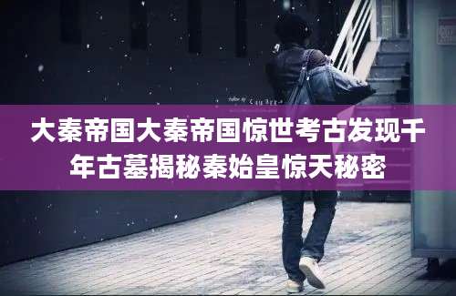 大秦帝国大秦帝国惊世考古发现千年古墓揭秘秦始皇惊天秘密