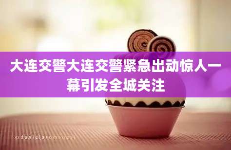 大连交警大连交警紧急出动惊人一幕引发全城关注