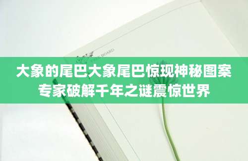 大象的尾巴大象尾巴惊现神秘图案专家破解千年之谜震惊世界