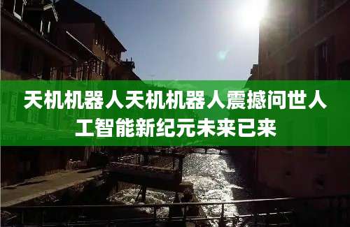 天机机器人天机机器人震撼问世人工智能新纪元未来已来