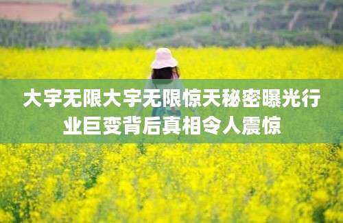 大宇无限大宇无限惊天秘密曝光行业巨变背后真相令人震惊