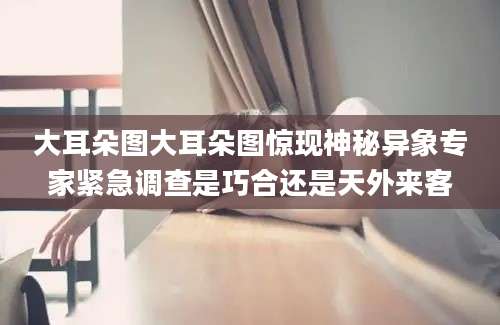 大耳朵图大耳朵图惊现神秘异象专家紧急调查是巧合还是天外来客