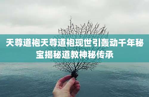 天尊道袍天尊道袍现世引轰动千年秘宝揭秘道教神秘传承