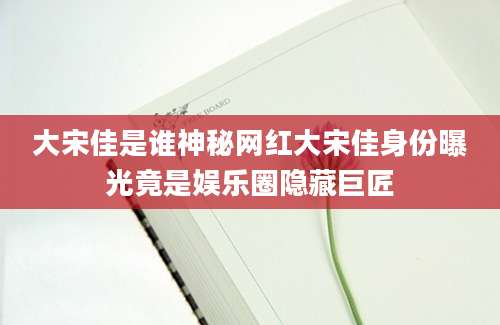 大宋佳是谁神秘网红大宋佳身份曝光竟是娱乐圈隐藏巨匠