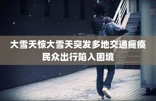 大雪天惊大雪天突发多地交通瘫痪民众出行陷入困境