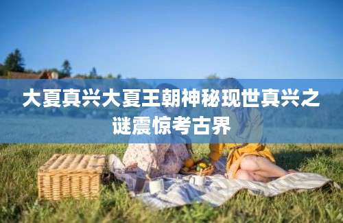 大夏真兴大夏王朝神秘现世真兴之谜震惊考古界