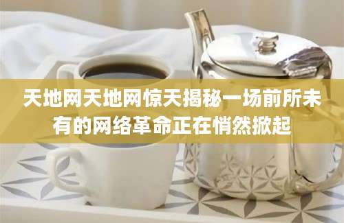 天地网天地网惊天揭秘一场前所未有的网络革命正在悄然掀起