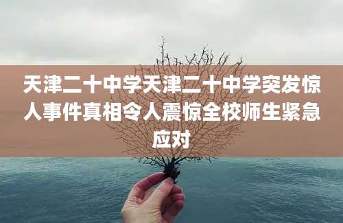 天津二十中学天津二十中学突发惊人事件真相令人震惊全校师生紧急应对