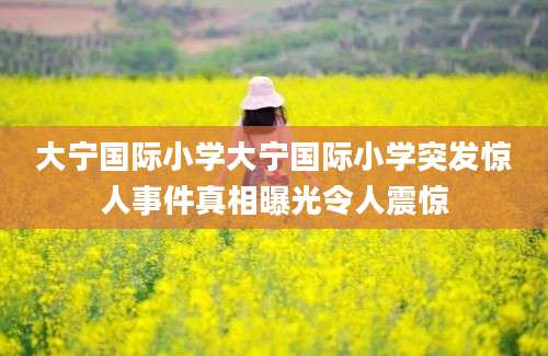 大宁国际小学大宁国际小学突发惊人事件真相曝光令人震惊