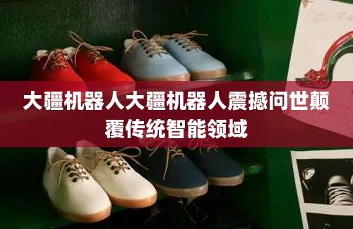 大疆机器人大疆机器人震撼问世颠覆传统智能领域