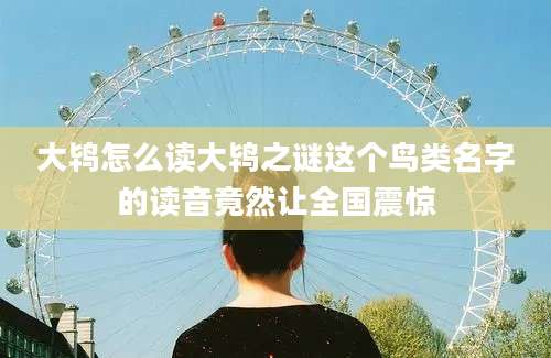 大鸨怎么读大鸨之谜这个鸟类名字的读音竟然让全国震惊