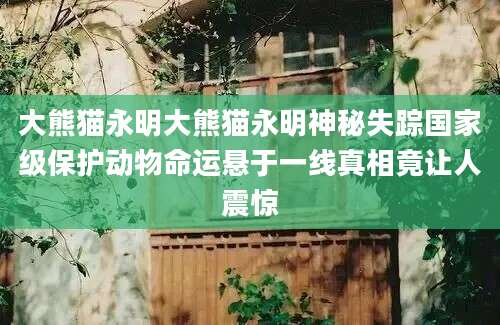 大熊猫永明大熊猫永明神秘失踪国家级保护动物命运悬于一线真相竟让人震惊