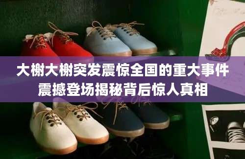 大榭大榭突发震惊全国的重大事件震撼登场揭秘背后惊人真相