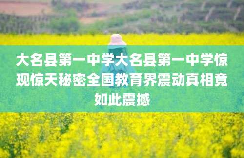 大名县第一中学大名县第一中学惊现惊天秘密全国教育界震动真相竟如此震撼