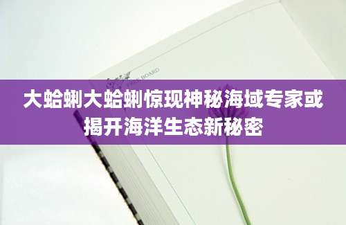 大蛤蜊大蛤蜊惊现神秘海域专家或揭开海洋生态新秘密