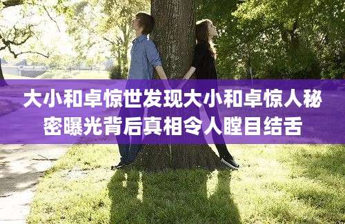 大小和卓惊世发现大小和卓惊人秘密曝光背后真相令人瞠目结舌