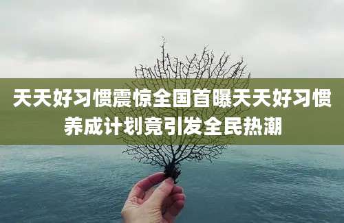 天天好习惯震惊全国首曝天天好习惯养成计划竟引发全民热潮