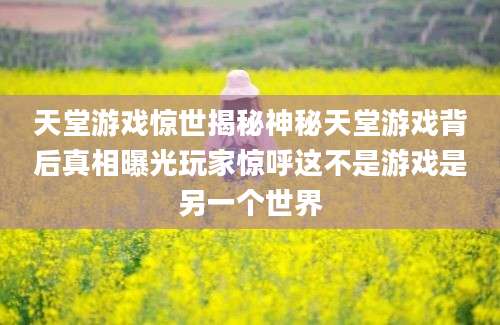天堂游戏惊世揭秘神秘天堂游戏背后真相曝光玩家惊呼这不是游戏是另一个世界