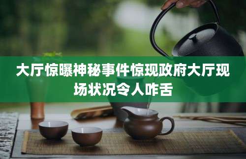 大厅惊曝神秘事件惊现政府大厅现场状况令人咋舌